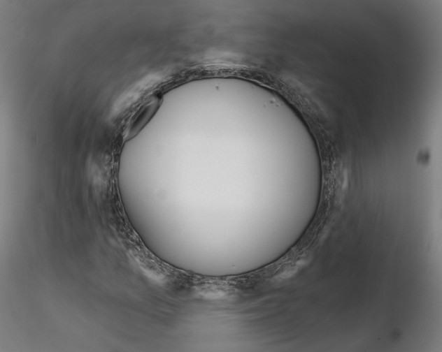 X0000115611157200912221201