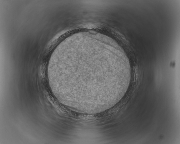 X0000115611158200912221201