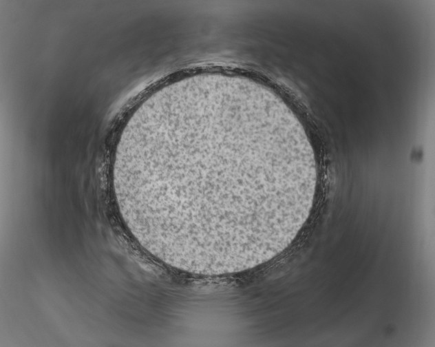 X0000115611159200912221201