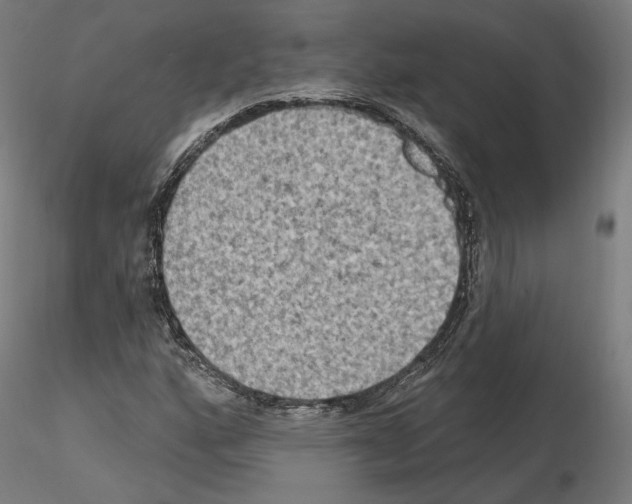 X0000115611160200912221201