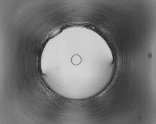 X0000115611161200912221201