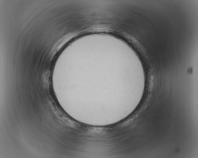 X0000115611162200912221201