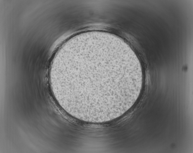 X0000115611164200912221201