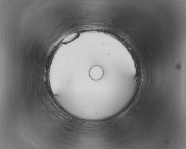 X0000115611165200912221201