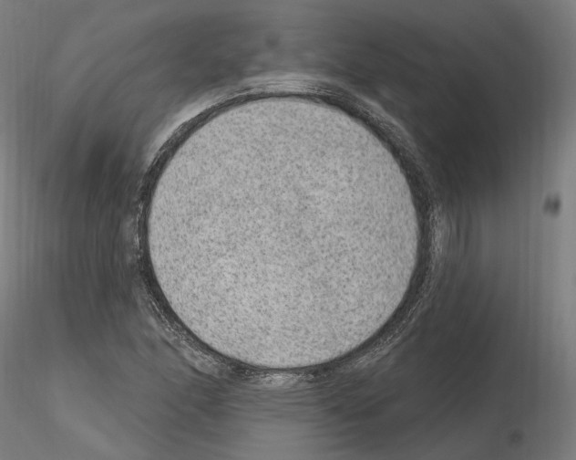 X0000115611166200912221201