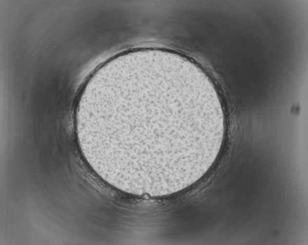 X0000115611167200912221201