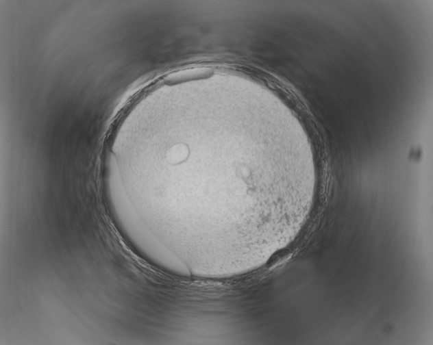 X0000115611168200912221201