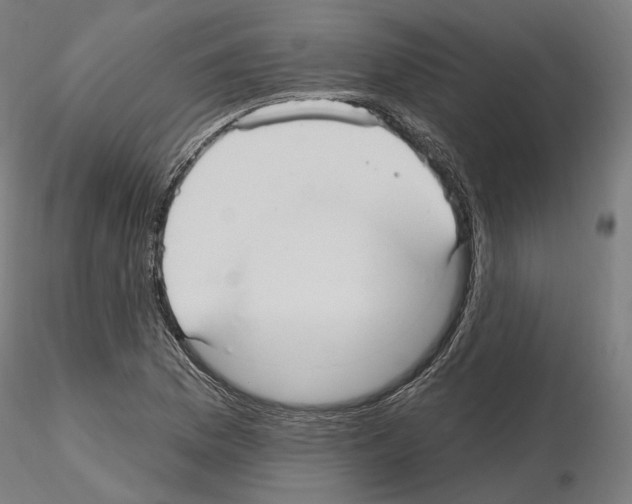 X0000115611169200912221201