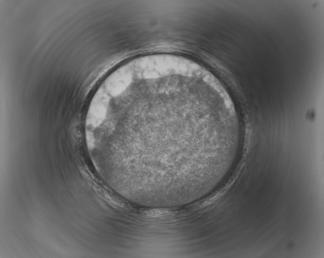 X0000115611170200912221201