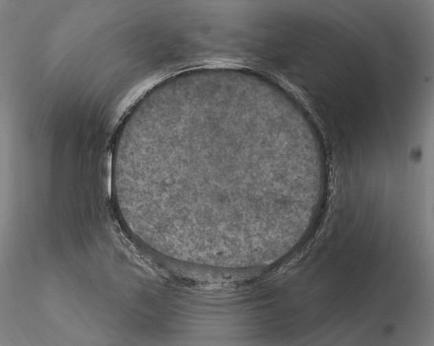 X0000115611171200912221201