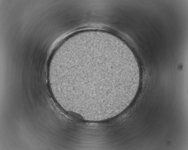 X0000115611172200912221201