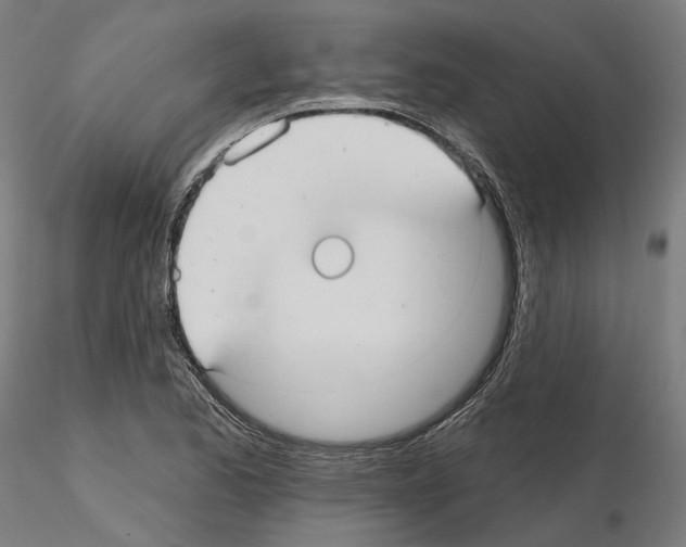 X0000115611173200912221201