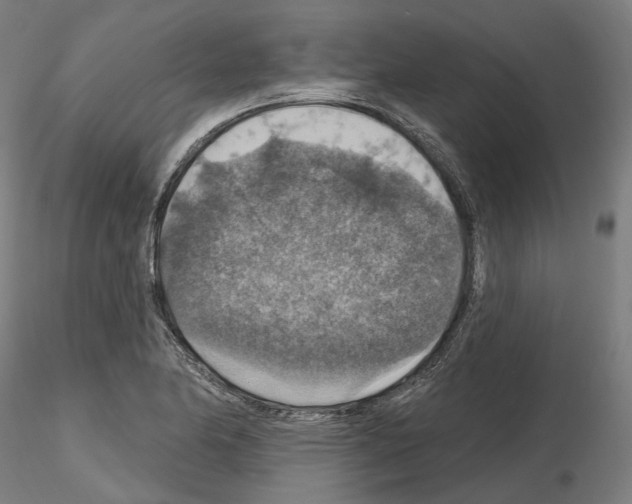 X0000115611174200912221201