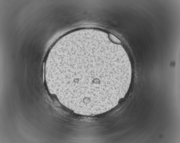 X0000115611175200912221201