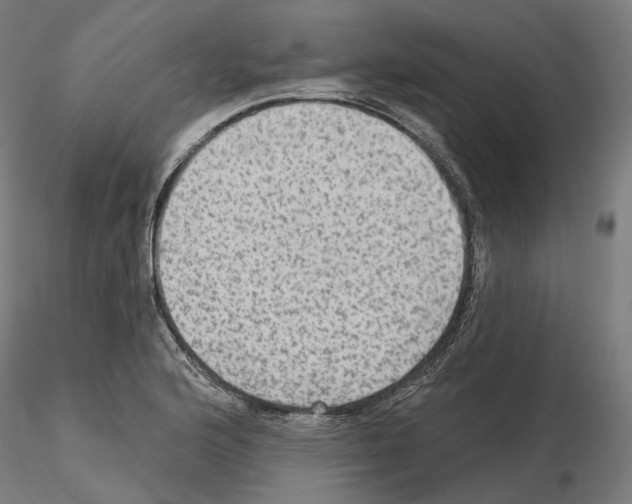 X0000115611176200912221201