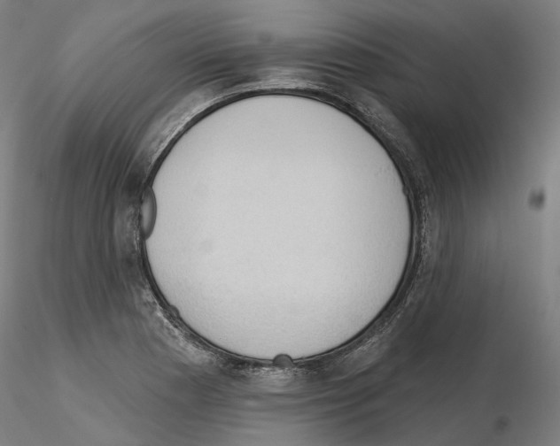 X0000115611177200912221201