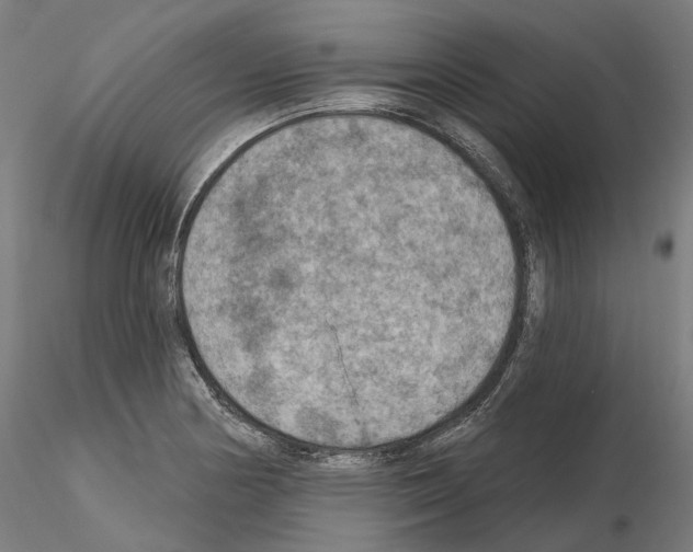 X0000115611178200912221201