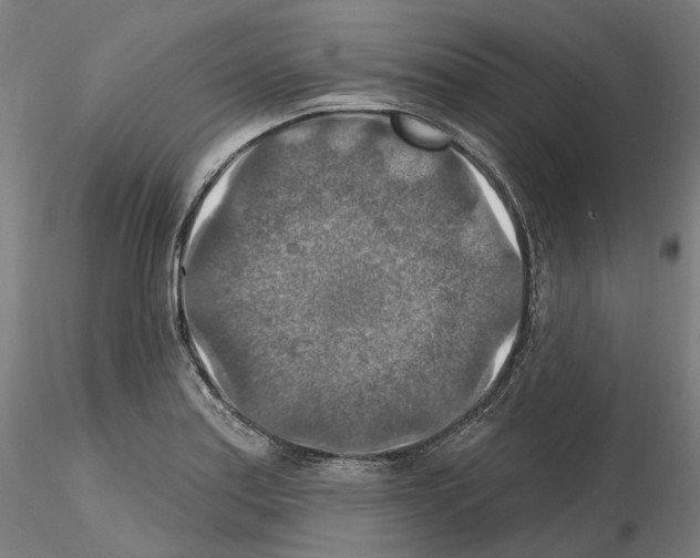 X0000115611179200912221201