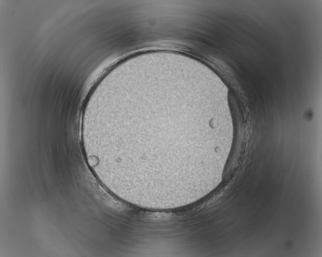 X0000115611180200912221201