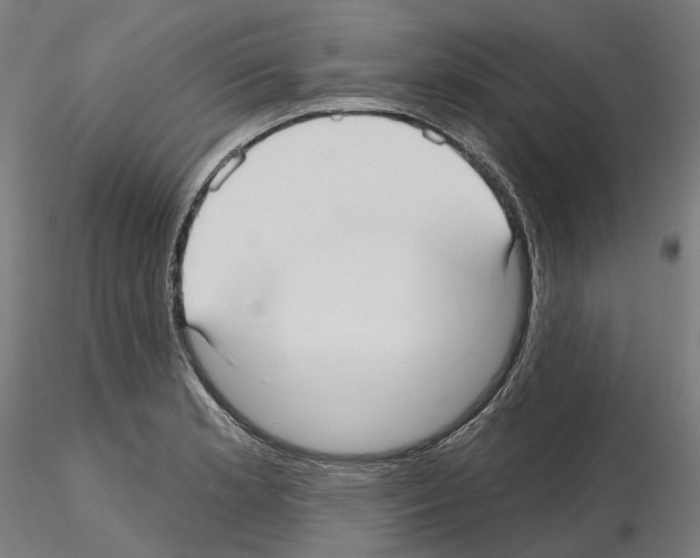 X0000115611181200912221201