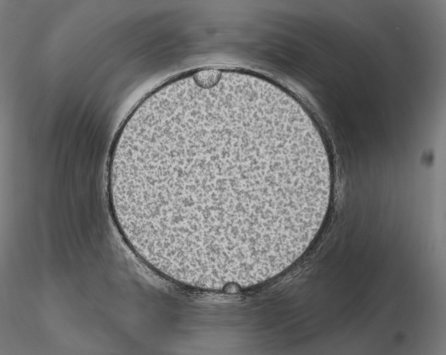 X0000115611183200912221201