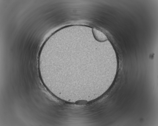 X0000115611184200912221201