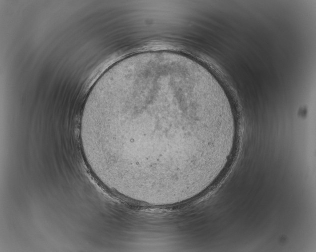 X0000115611185200912221201