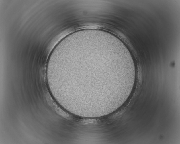 X0000115611186200912221201