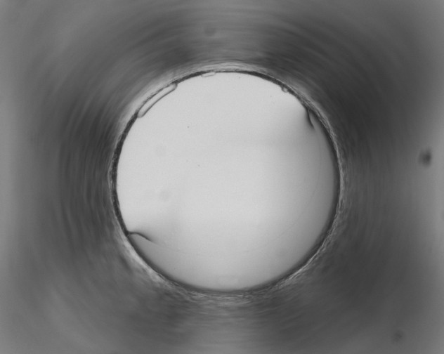 X0000115611189200912221201