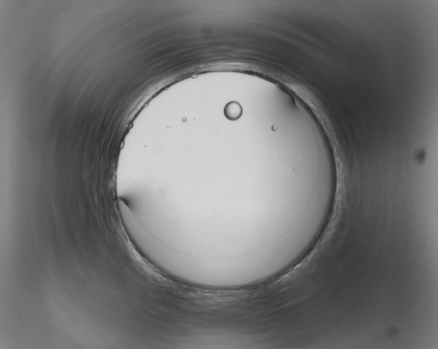 X0000115611193200912221200