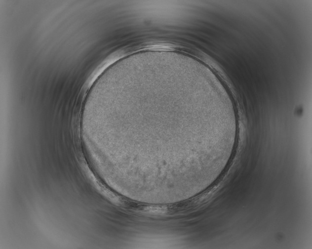 X0000115611194200912221200