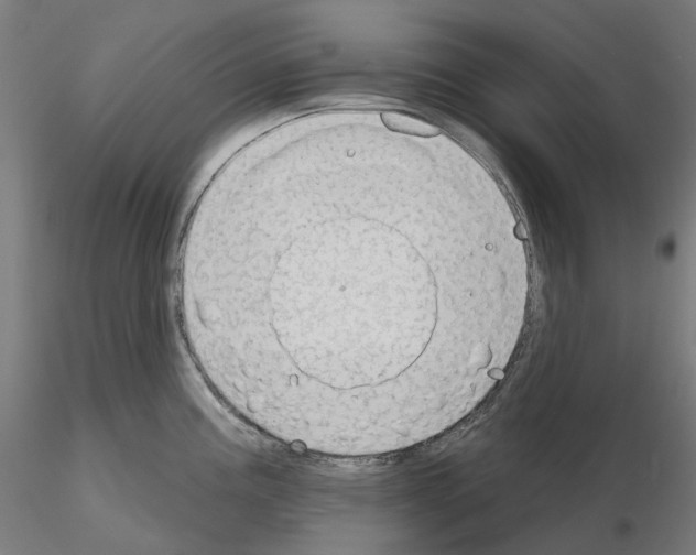 X0000115611195200912221200