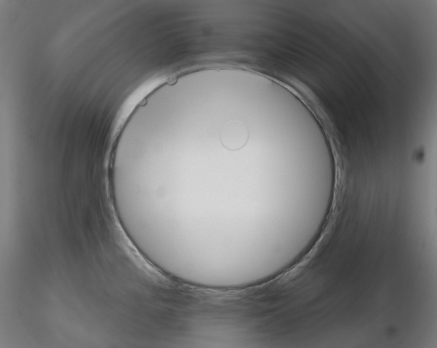 X0000115611196200912221200