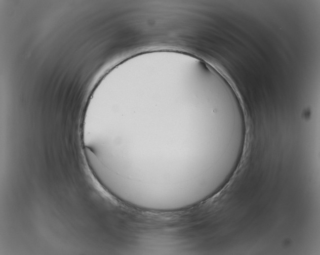 X0000115611197200912221200