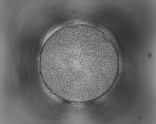 X0000115611198200912221200