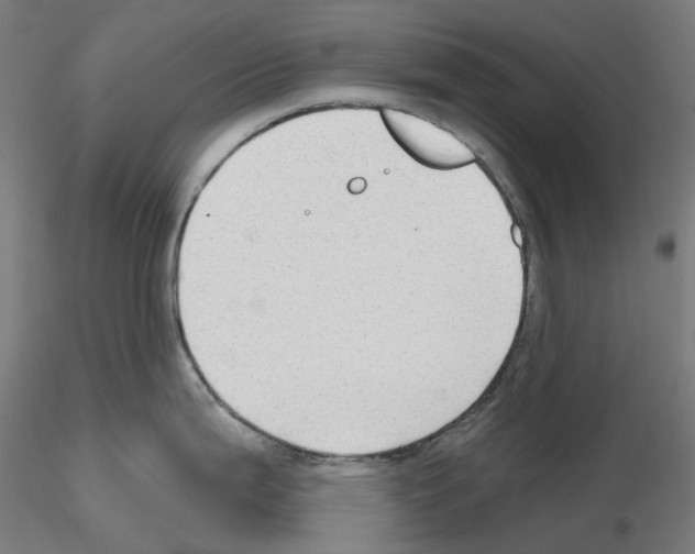 X0000115611199200912221200