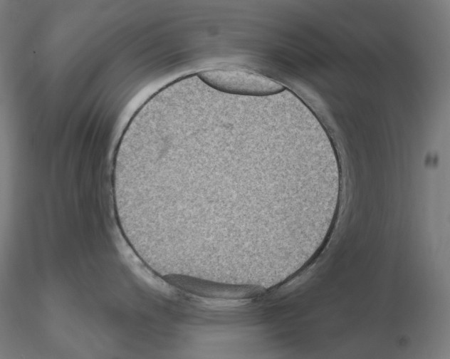 X0000115611200200912221200