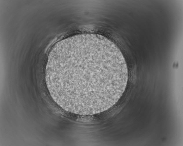 X0000115611201200912221200
