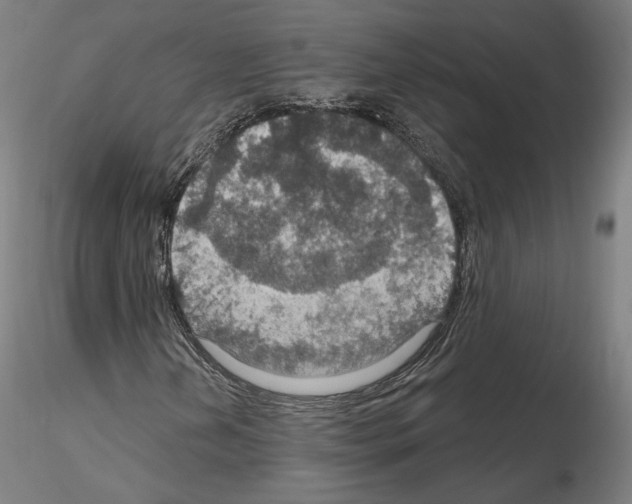 X0000115611202200912221200