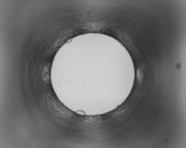 X0000115611203200912221200