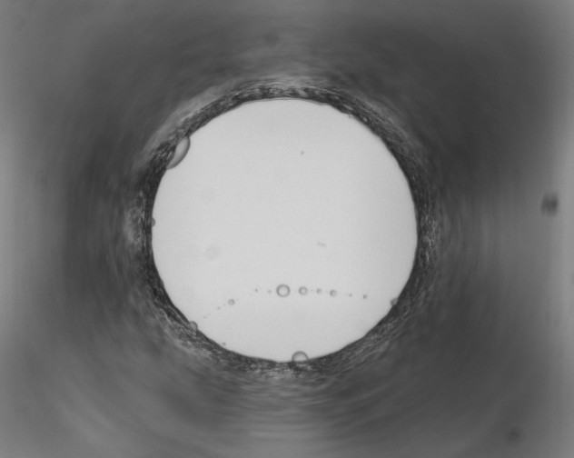 X0000115611207200912221200