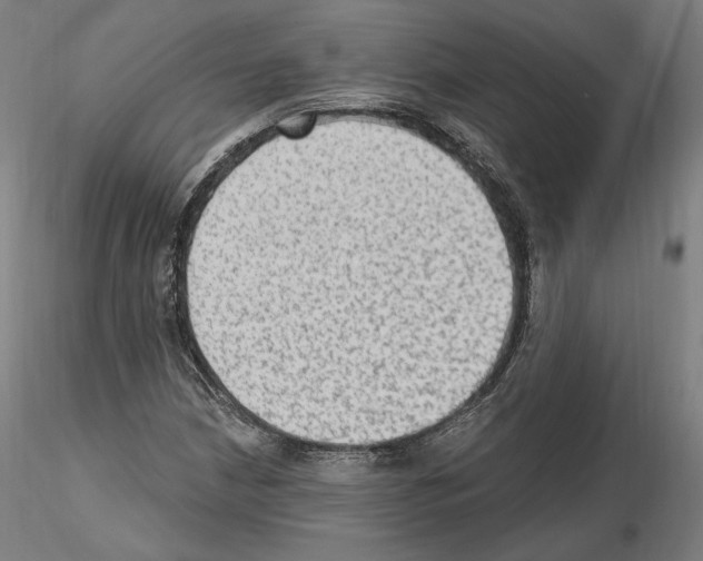 X0000115611210200912221200