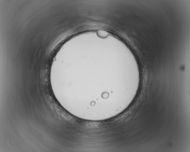 X0000115611211200912221200