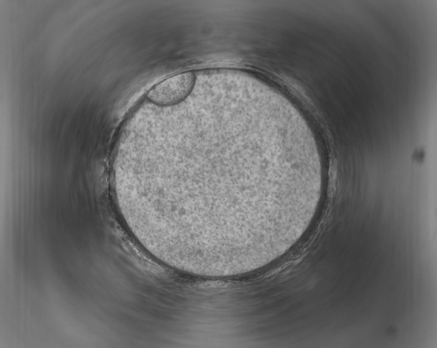 X0000115611212200912221200