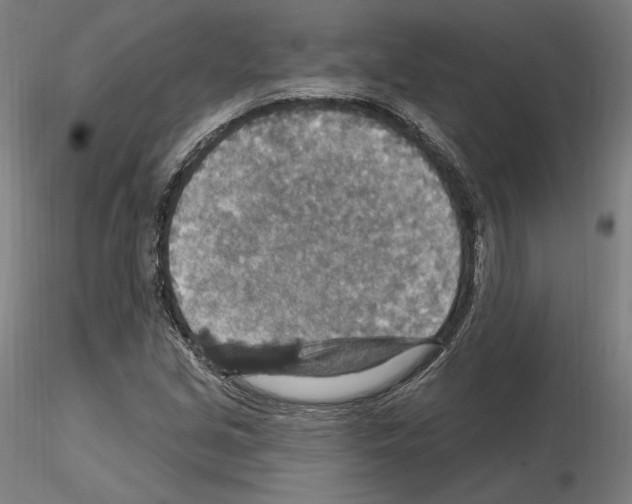 X0000115611213200912221200
