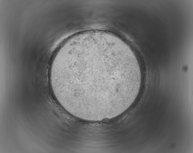 X0000115611214200912221200