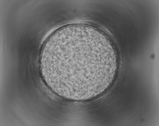 X0000115611216200912221200