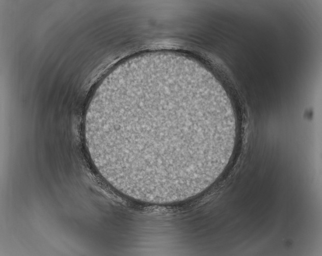 X0000115611217200912221200