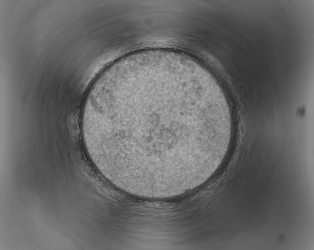 X0000115611218200912221200