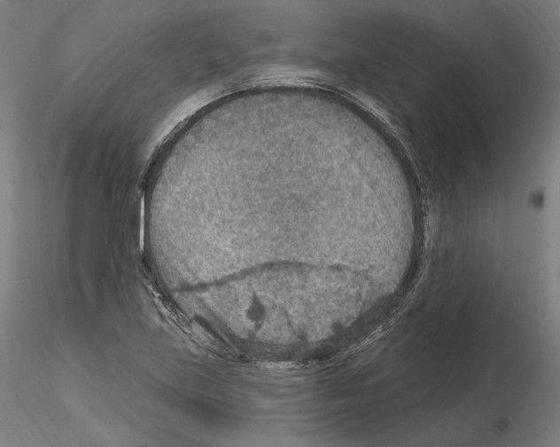 X0000115611219200912221200